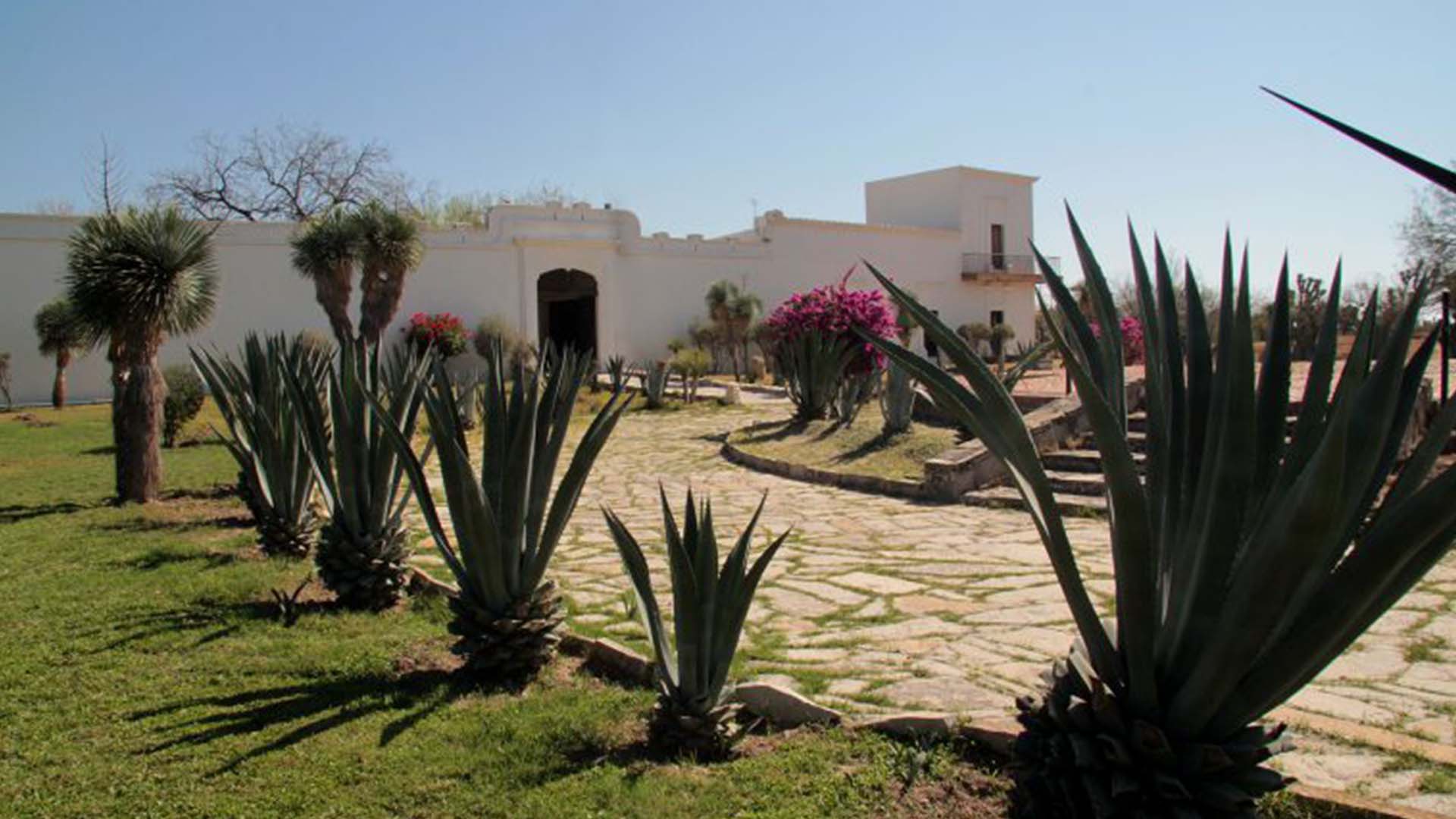 centro-de-información-e-historia-regional-uanl centro-de-información-e-historia-regional-uanl